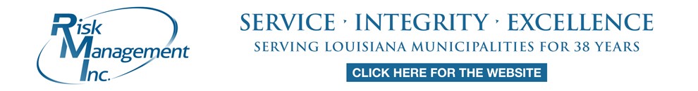 RISK MANAGEMENT INC